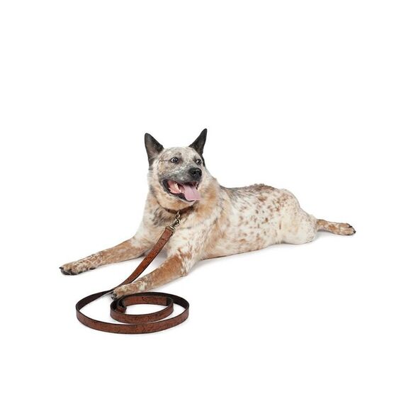 Patricia Nash Pet Leash 1" Width NWT - Picture 2 of 2